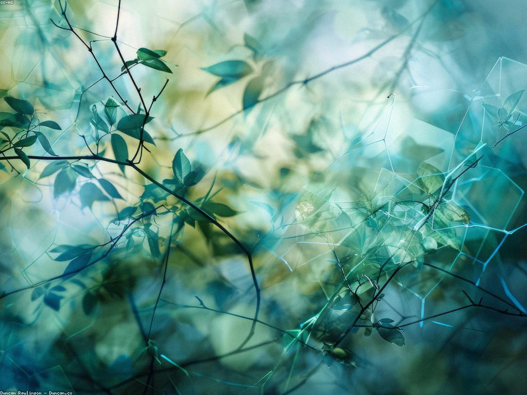 វិធីសាស្ត្រប្រើប្រាស់ដើម្បីបង្កើនការបន្តបន្ទាប់