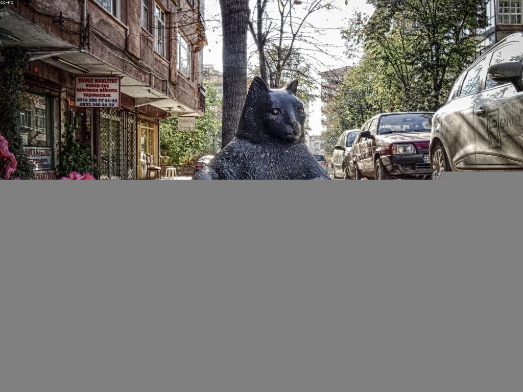 ការយល់ដឹងអំពីការប្រកួតស្លុត: ការចាប់ផ្តើមជាមួយហ្គេម