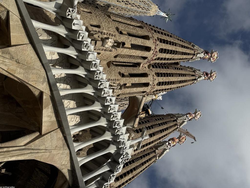 ការយល់ដឹងអំពីភាពធន់ទ្រាំអារម្មណ៍