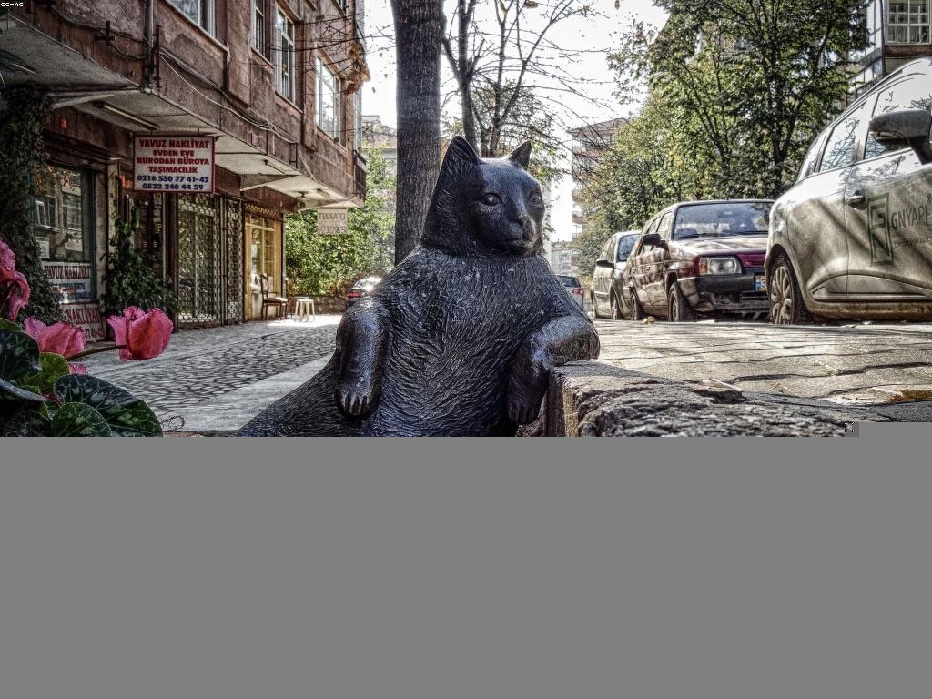 និន្នាការថ្មីៗនៅក្នុងព័ត៌មានស្លុត៖ ការចូលរួមរបស់អ្នកយល់ដឹង