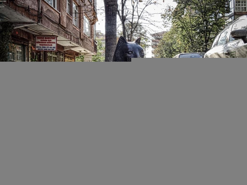 វិធីសាស្ត្រប្រើប្រាស់ការស្រាវជ្រាវដើម្បីកែលម្អការសម្រេចចិត្ត