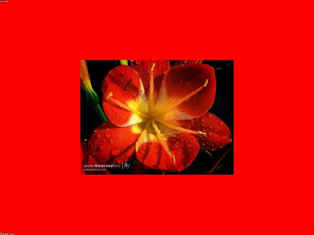 យុទ្ធសាស្ត្រស្លុត: ការរៀនពីការនាំមុខក្នុងទីផ្សារបច្ចុប្បន្ន