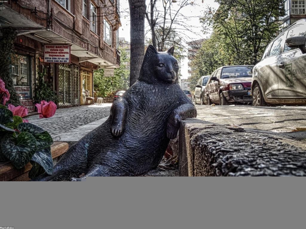 និន្នាការថ្មីៗក្នុងព័ត៌មានស្លុត៖ អ្វីដែលអ្នកត្រូវដឹង