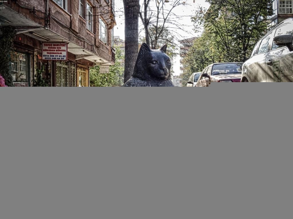 យុទ្ធសាស្ត្រសម្រាប់ការអនុវត្តបាការ៉ាត់យ៉ាងប្រកបដោយប្រសិទ្ធភាព