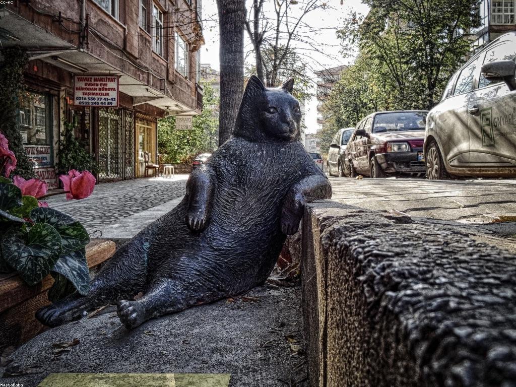 វិធីជ្រើសរើសយុទ្ធសាស្ត្របាការ៉ាត់ដើម្បីជោគជ័យ