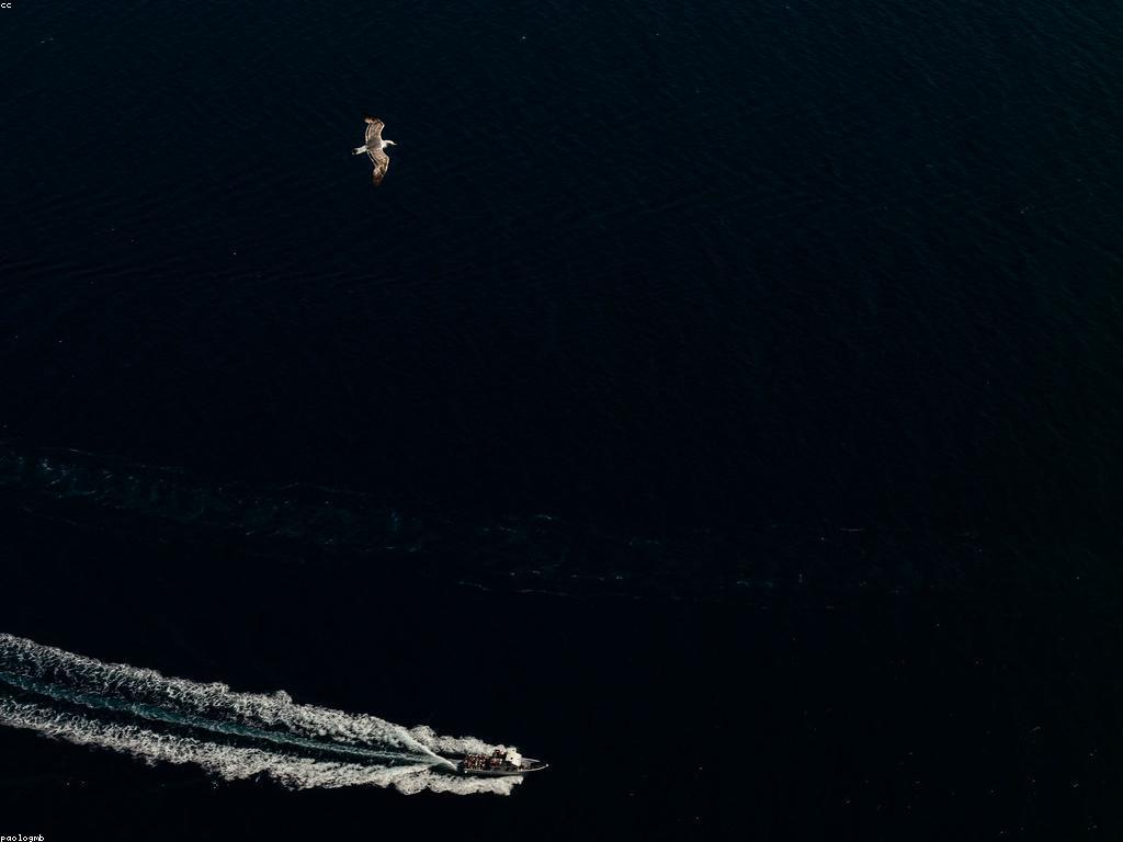 ការយល់ដឹងអំពីសាធារណៈអារម្មណ៍